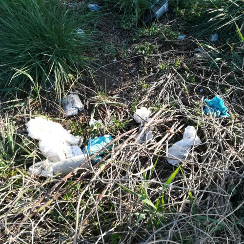 Plastic pollution in our area