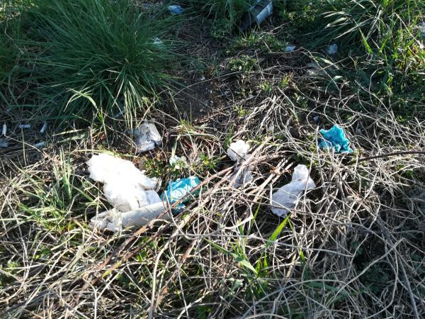 Plastic pollution in our area